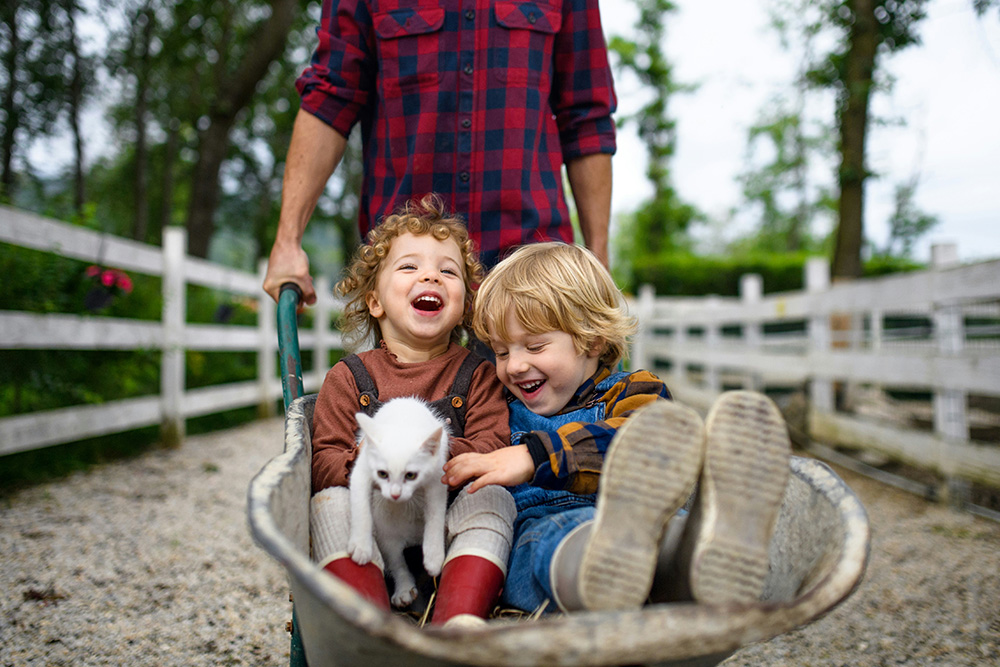 A brother and sister with their cat in a wheelbarrow being pushed by their father
