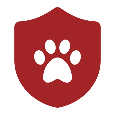 Pet wellness icon