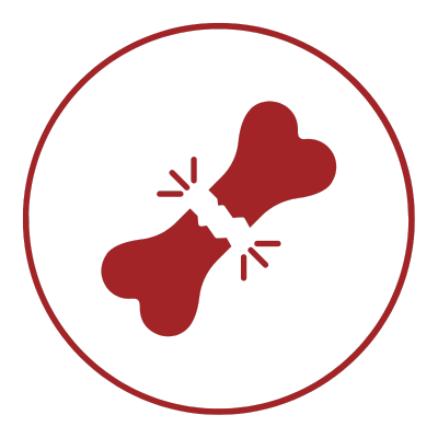 Fracture Repair icon