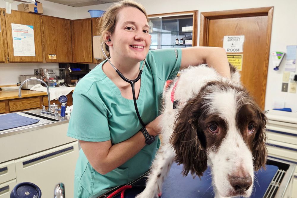 a person in scrubs holding a dog on a table
