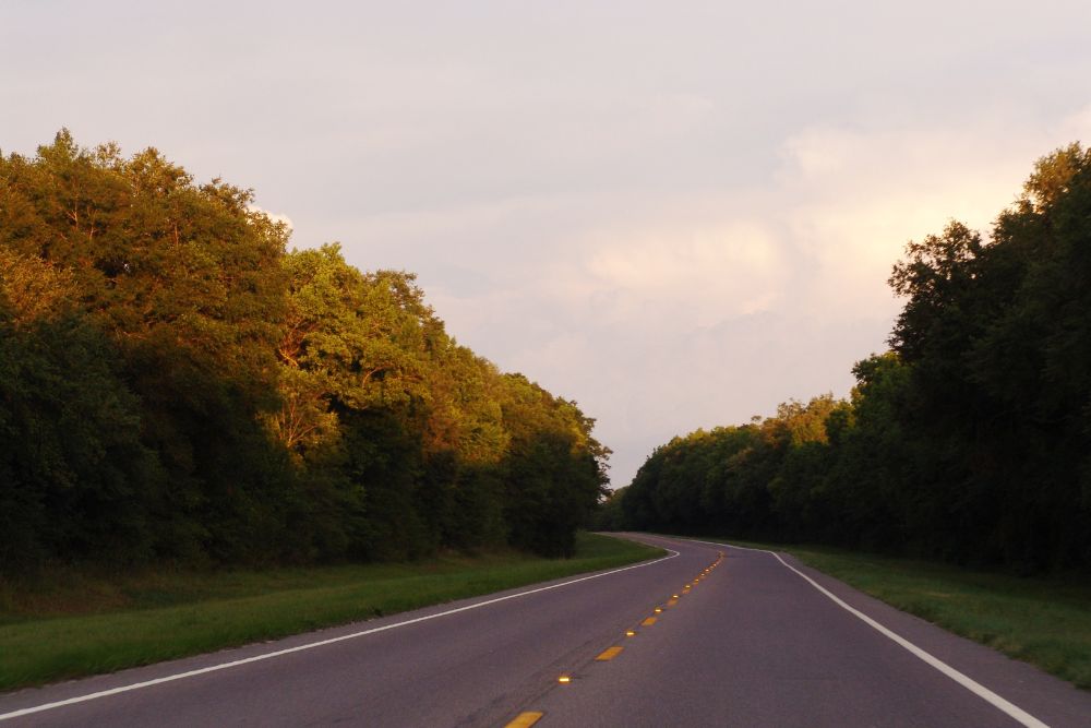 an empty highway with trees lining both sides